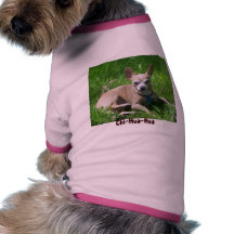chiwawa t-shirt pour toutou