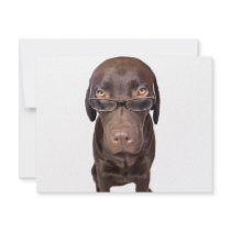 Choccy Lab in Glasses Invites