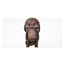Choccy Lab in Glasses Photo Card Template