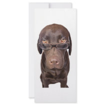 Choccy Lab in Glasses Personalized Rack Card