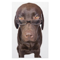 Choccy Lab in Glasses Stationery