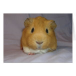 ChoCho Notecard
