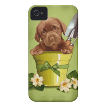 Chocolat Labrador Coques Case-Mate iPhone 4