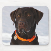 Chocolat Labrador Mousepad Tapis De Souris