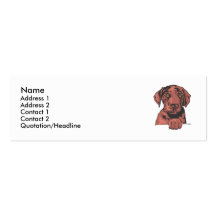 Chocolat labrador retriever carte de visite