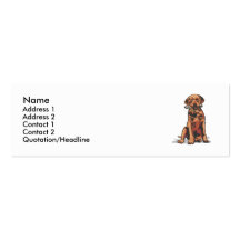 Chocolat labrador retriever carte de visite