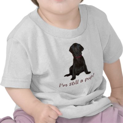 Chocolate Brown Labrador Retriever Puppy t-shirt by Lesleysloft