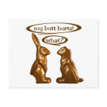Chocolate bunnies