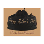 Chocolate Cake and Chocolate Roses Mother's Day