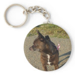 Chocolate Chihuahua keychain
