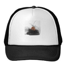 chocolate hat