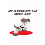 Chocolate Karate Lab Post Cards