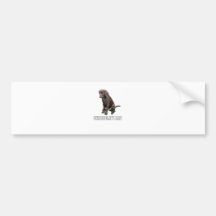 Chocolate Lab Bumper Sticker