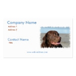 Chocolate Lab Business Card business cards