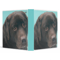 Chocolate Lab Dog Binder