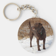 Chocolate Lab Keychain