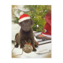 Chocolate Lab Loves Christmas Cards