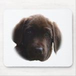 chocolate lab mouse pad