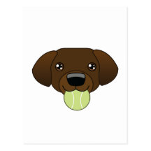 Chocolate Lab Postcard
