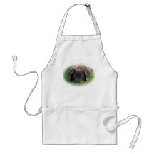Chocolate Lab Puppy Aprons