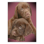 Chocolate Lab Pups With Love Cards
