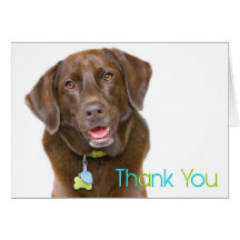 Chocolate Lab Thank You Card