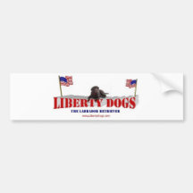Chocolate Lab with Flags Bumper Sticker