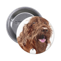 Chocolate Labradoodle #1 Button