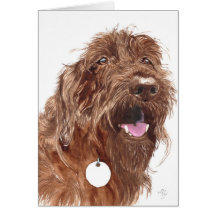 Chocolate Labradoodle #1 Notecards