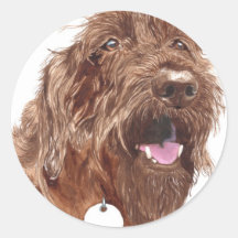 Chocolate Labradoodle #1 Round Sticker