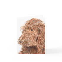 Chocolate Labradoodle #2 Notecard