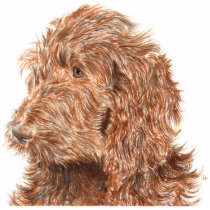 Chocolate Labradoodle #2 Sculpture Acrylic Cut Out