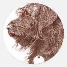 Chocolate Labradoodle Round Stickers