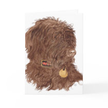 Chocolate Labradoodle Xena Greeting Cards