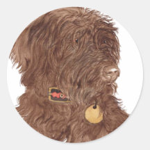 Chocolate Labradoodle Xena Stickers