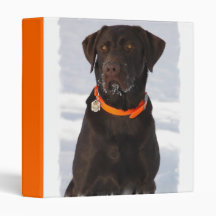 Chocolate Labrador Binder