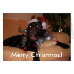 Chocolate Labrador Christmas Cards