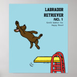 Chocolate Labrador Diving