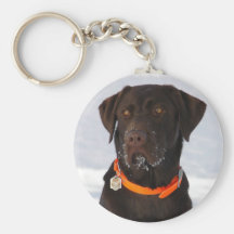 Chocolate Labrador Keychain