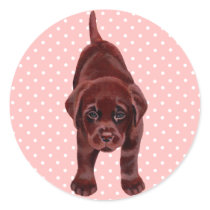 Chocolate Labrador Puppy Stickers
