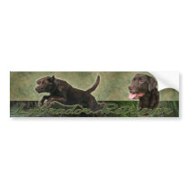 Chocolate Labrador Retriever collage bumper sticke Bumper Sticker