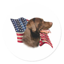 Chocolate Labrador Retriever Flag - Sticker