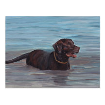 Chocolate Labrador Retriever in Water Note Card Postcards