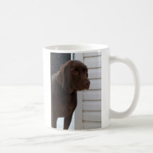 Chocolate Labrador Retriever Mugs