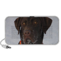Chocolate Labrador Retriever Portable Speakers