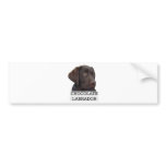 Chocolate Labrador Unique design! Bumper Sticker
