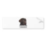 Chocolate Labrador Unique design! Bumper Sticker