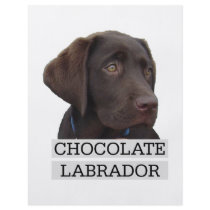 Chocolate Labrador Unique design! Flyer