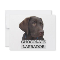 Chocolate Labrador Unique design! Personalized Invitation