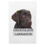Chocolate Labrador Unique design! Custom Stationery